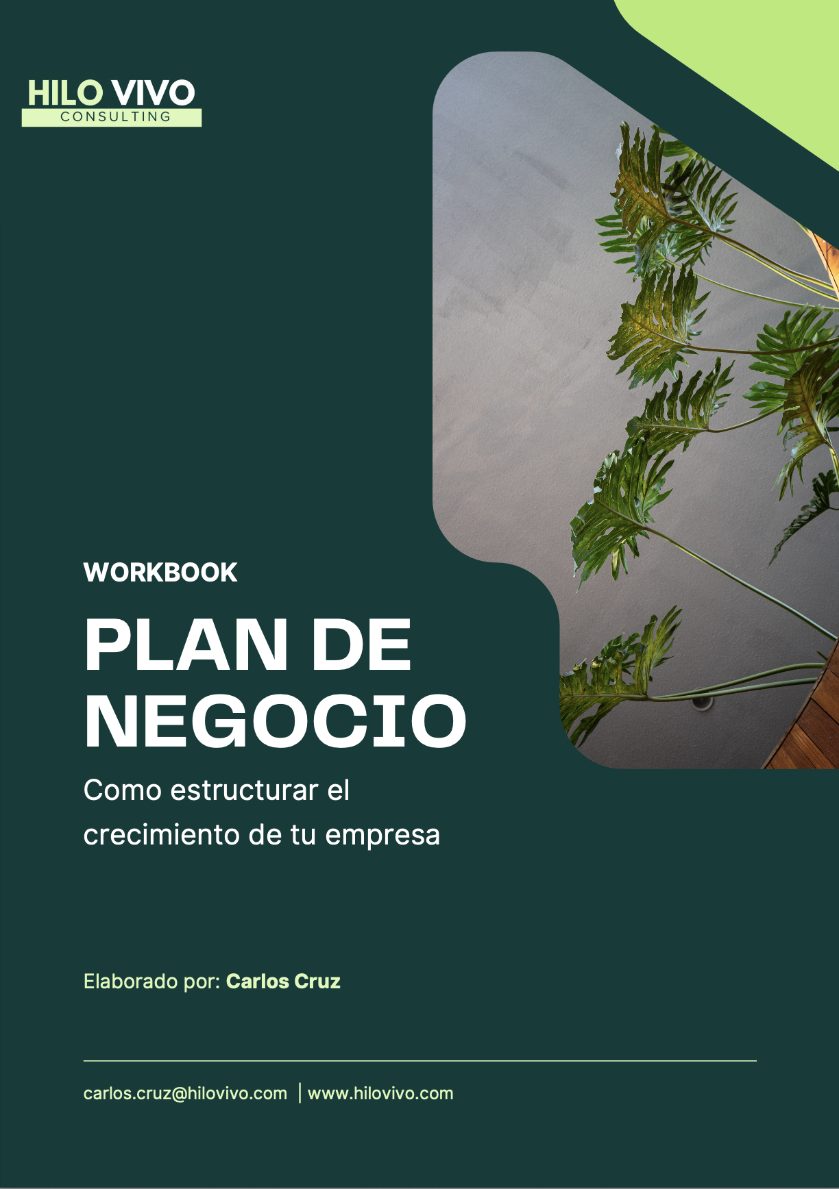 Cómo Dar Estructura a tu Negocio: Empieza con el Manual del Plan de Negocio